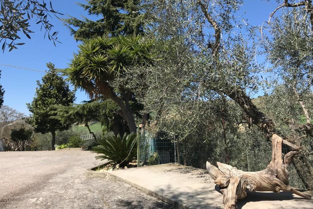 Апартаменти Casa Lu Monaco Tranquillita A Due Passi Dal Mare Порто-д'Асколі Екстер'єр фото